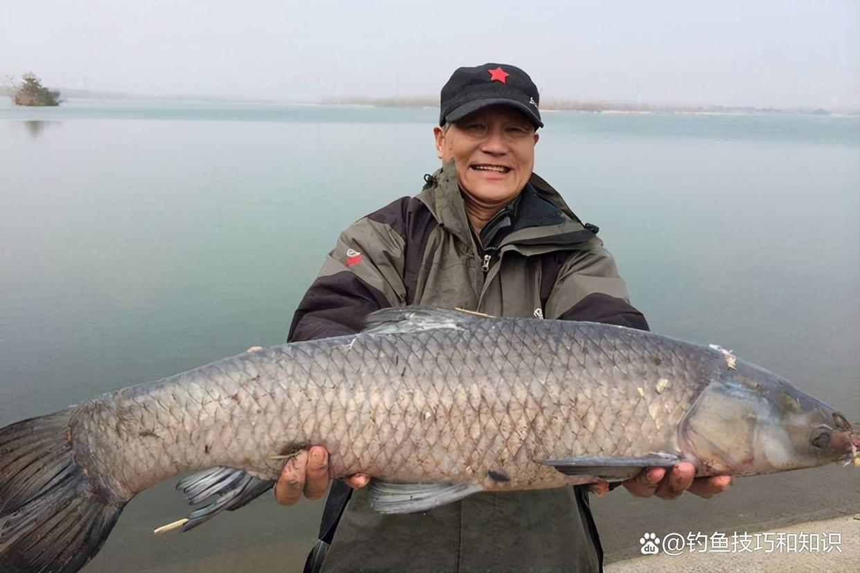 冬天怎样钓青鱼？关键是寻找鱼窝、鱼饵味型和打窝技巧