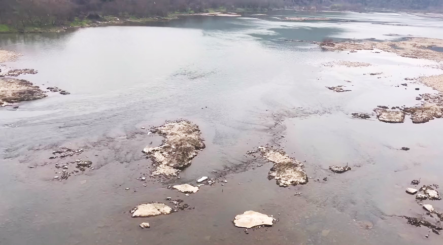 江西钓友在水库下钓鱼，遭遇大量“怪草鱼”，竟是淡水之王？