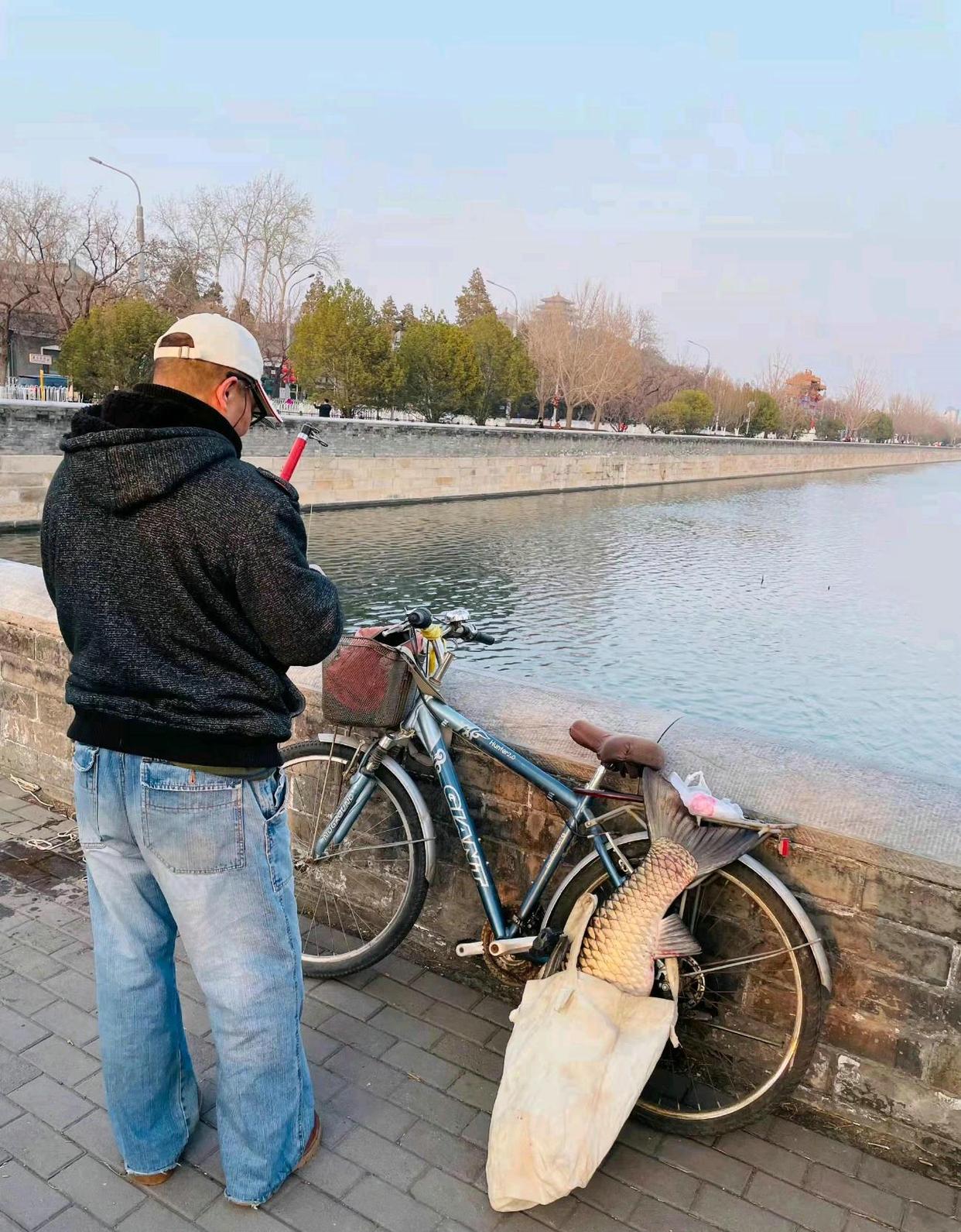 男子钓起故宫护城河的“草鱼王”，网友：你这是动了龙气！